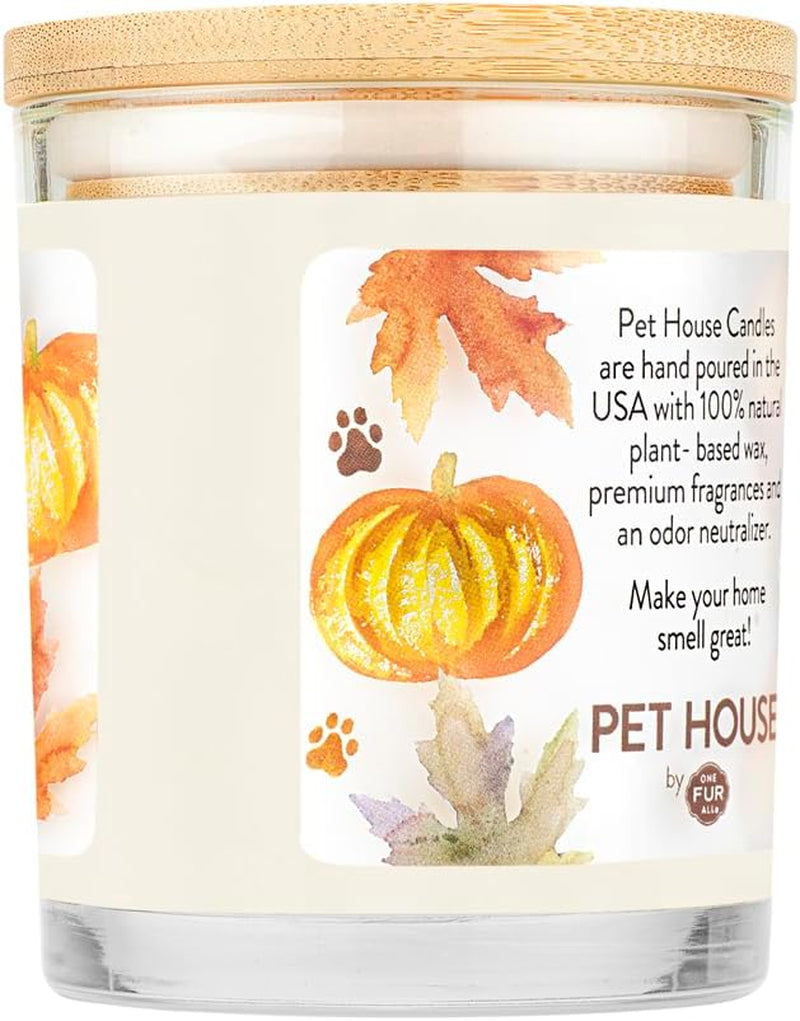 Pet House Fall Candles, Long Lasting, Clean Burning, Soy Wax Scented Candles for Pet Odor, Pumpkin Spice, 2 Pack